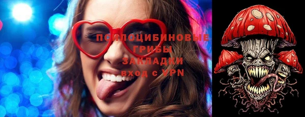 дживик Верея
